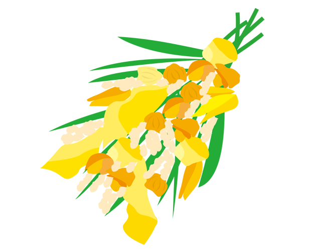 黄色の花束のイラスト（フリー素材）